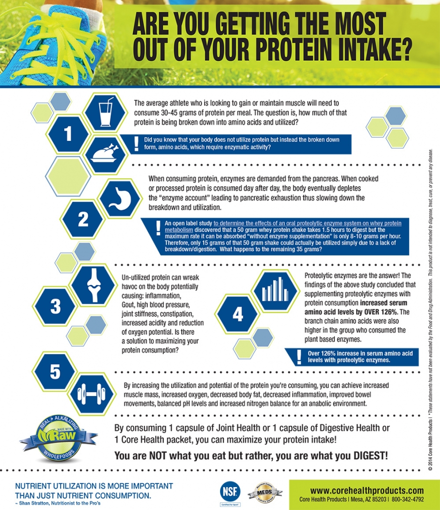 Are you getting the most out of your protein intake? - Core Health Products